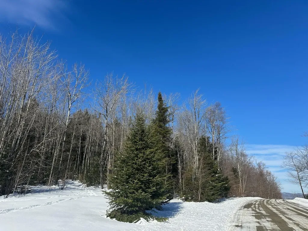220 Deerfield Hills Road Morristown VT 05661