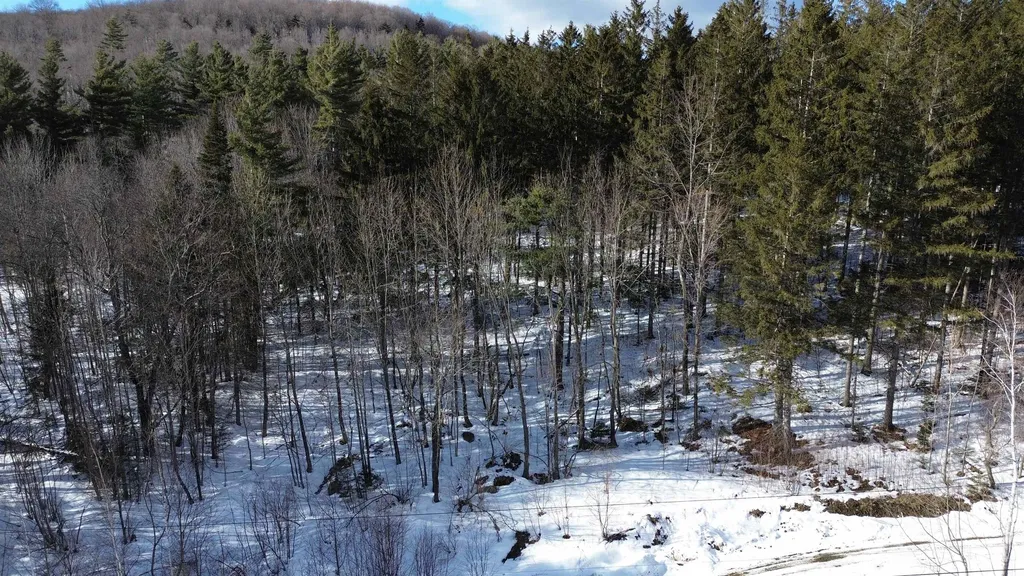 00 Cassidy Farm Road Warren VT 05674
