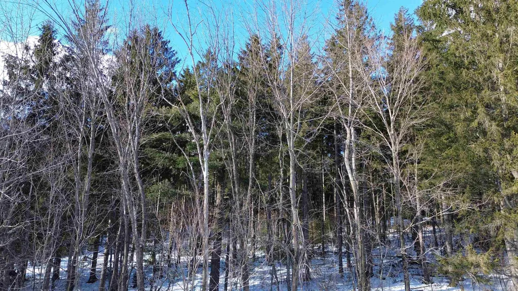 00 Cassidy Farm Road Warren VT 05674
