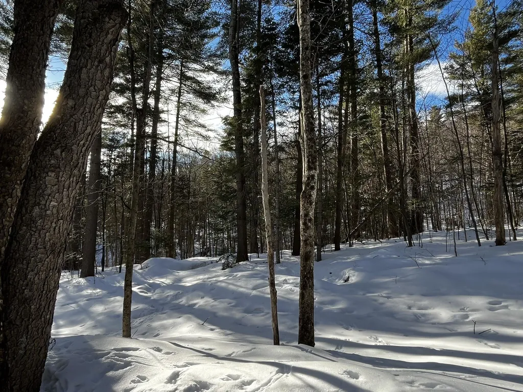00 Cassidy Farm Road Warren VT 05674