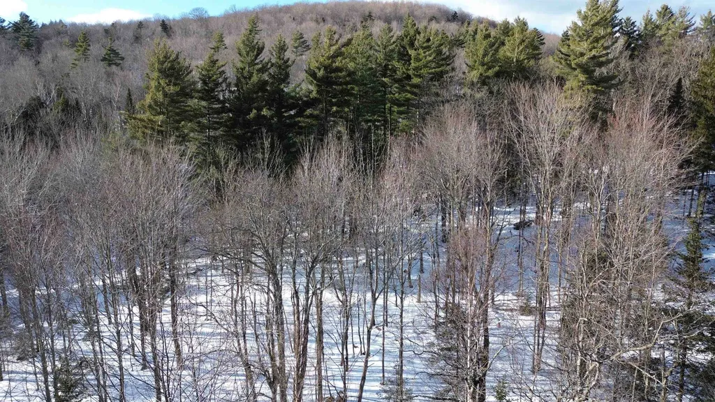00 Cassidy Farm Road Warren VT 05674