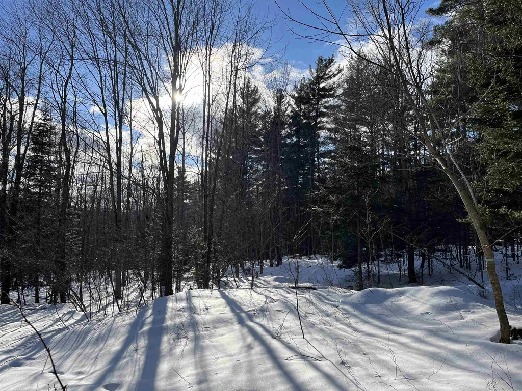 00 Cassidy Farm Road Warren VT 05674