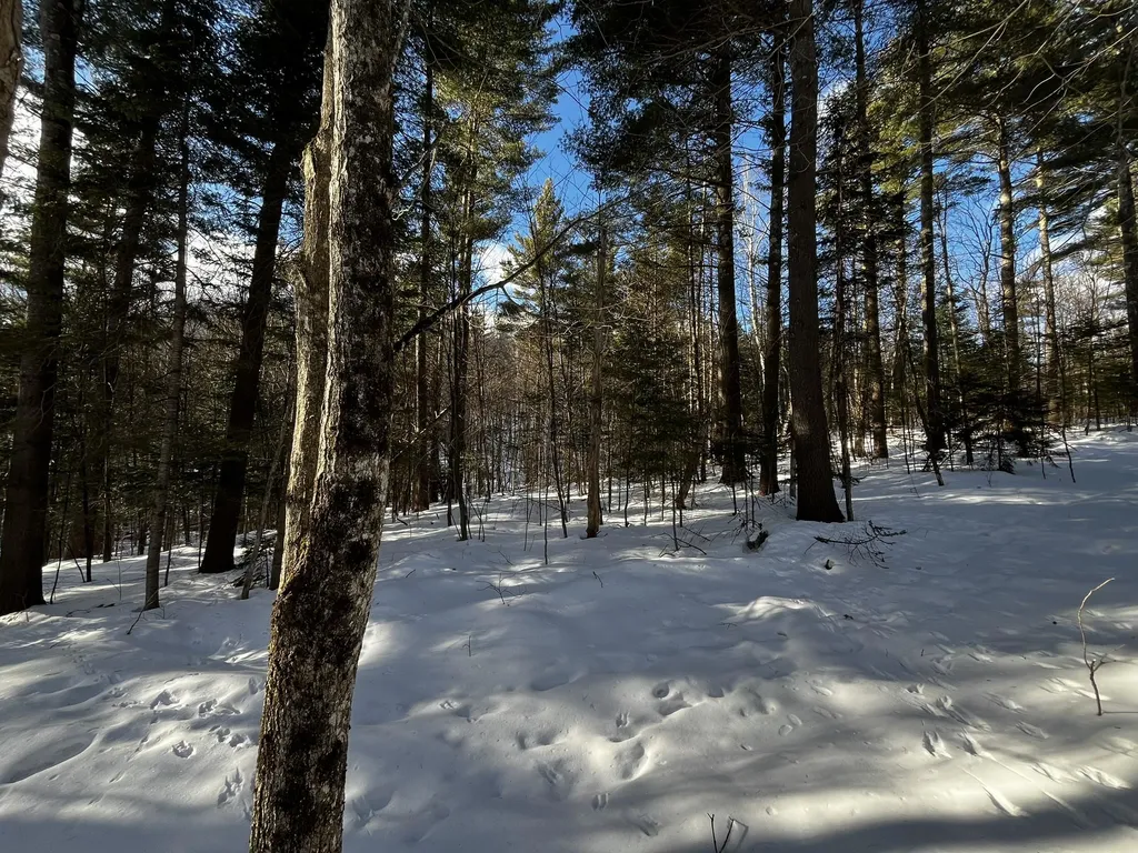 00 Cassidy Farm Road Warren VT 05674