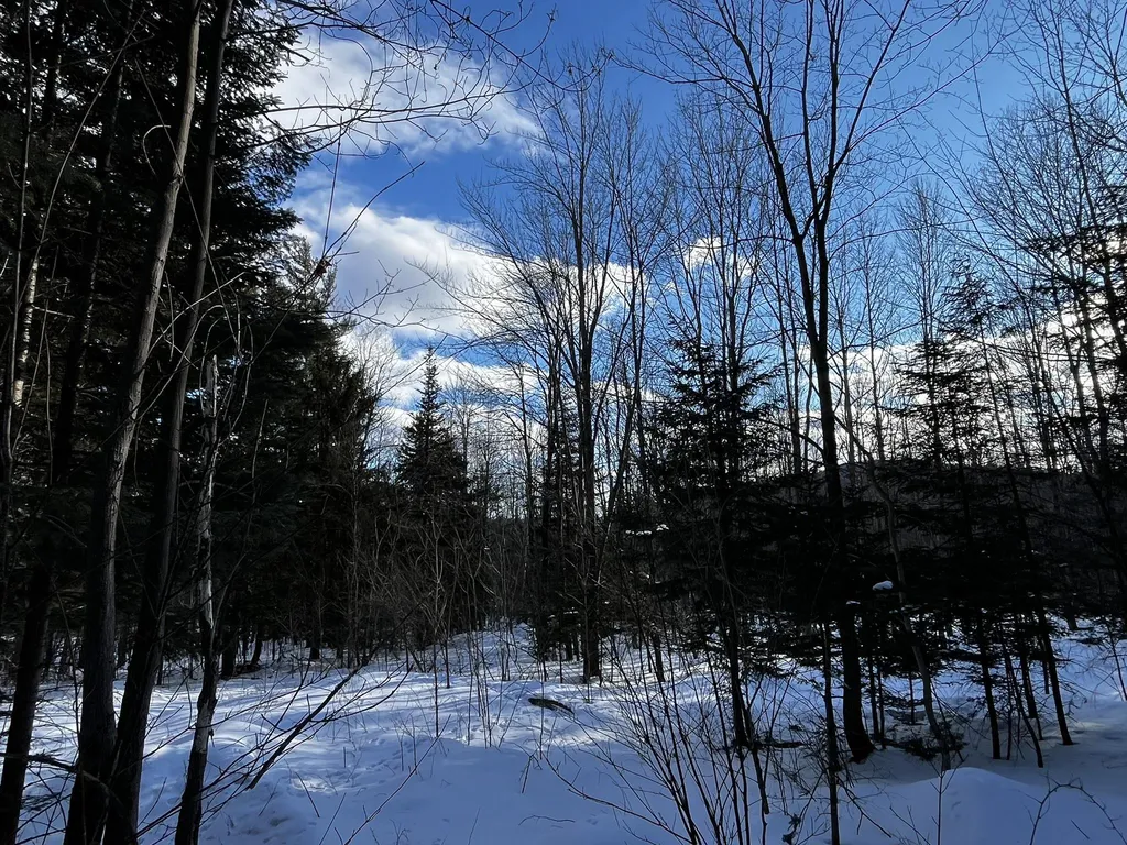 00 Cassidy Farm Road Warren VT 05674