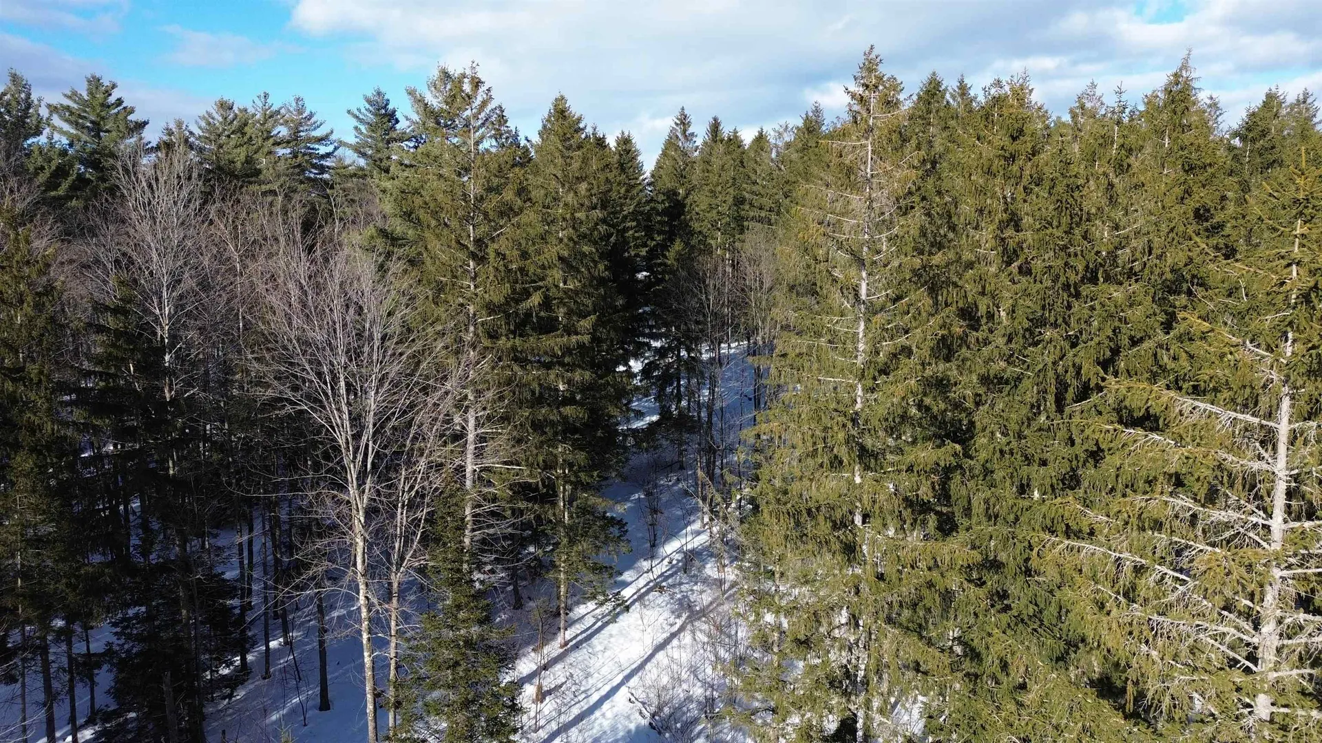 00 Cassidy Farm Road Warren VT 05674