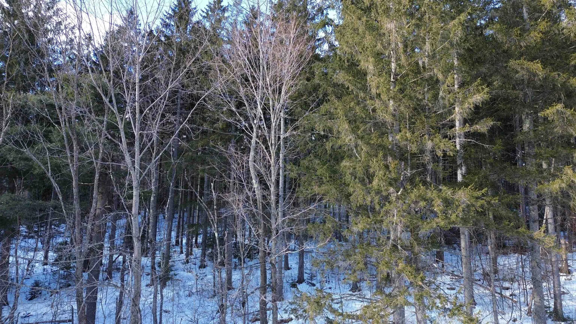 00 Cassidy Farm Road Warren VT 05674