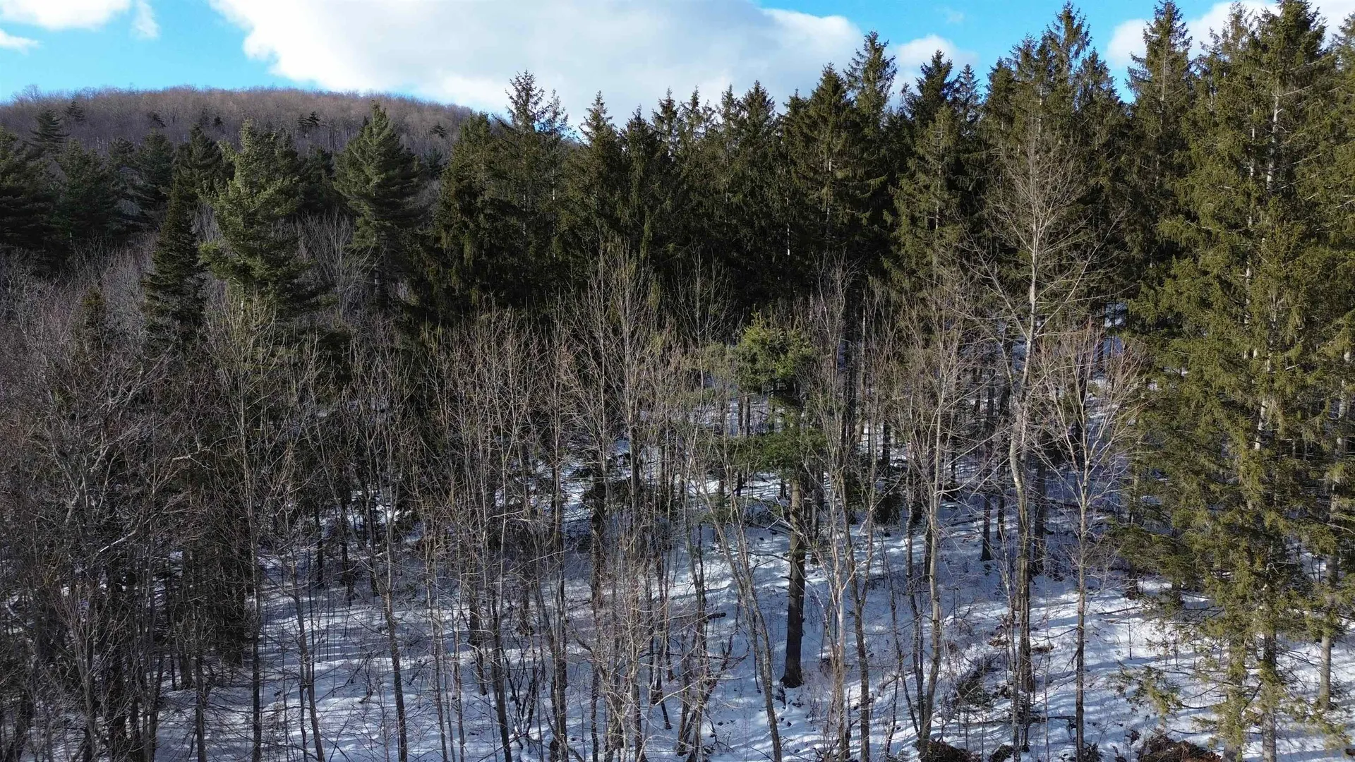 00 Cassidy Farm Road Warren VT 05674