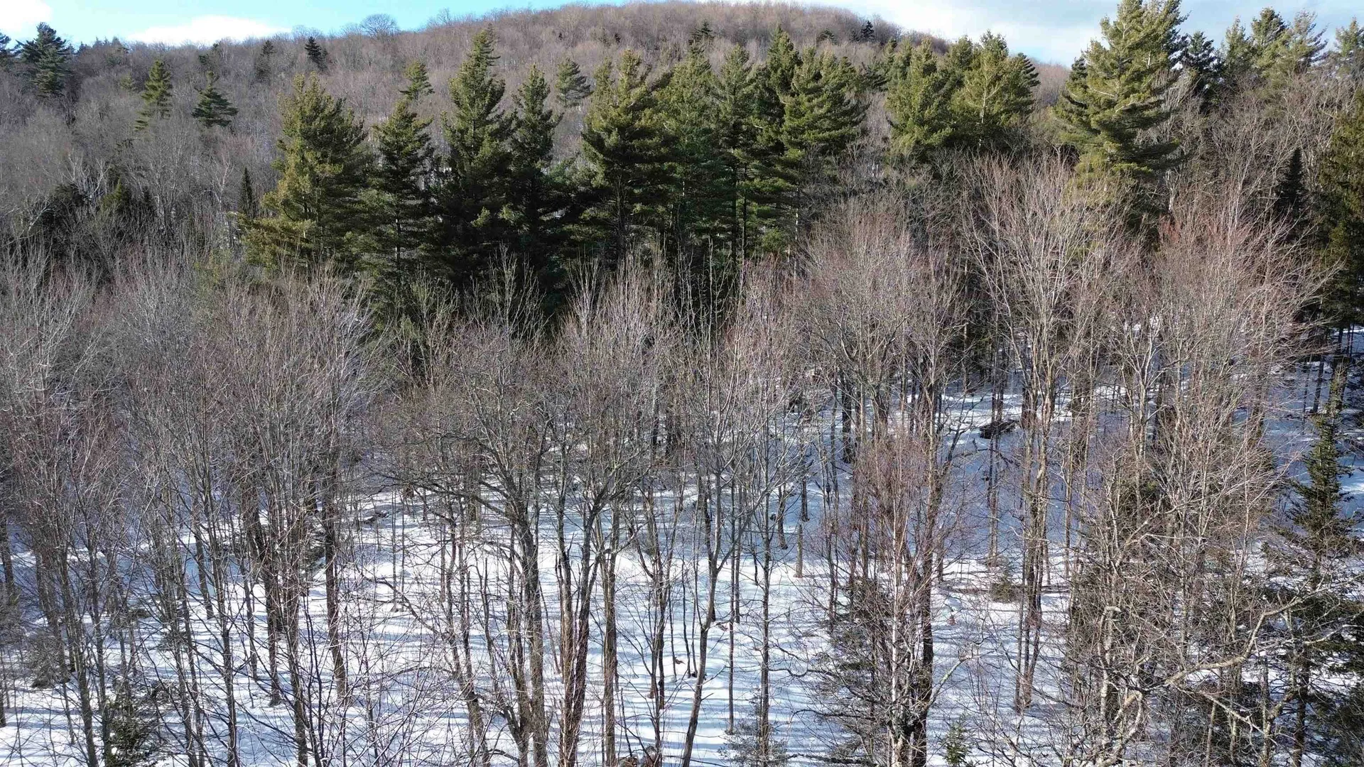 00 Cassidy Farm Road Warren VT 05674