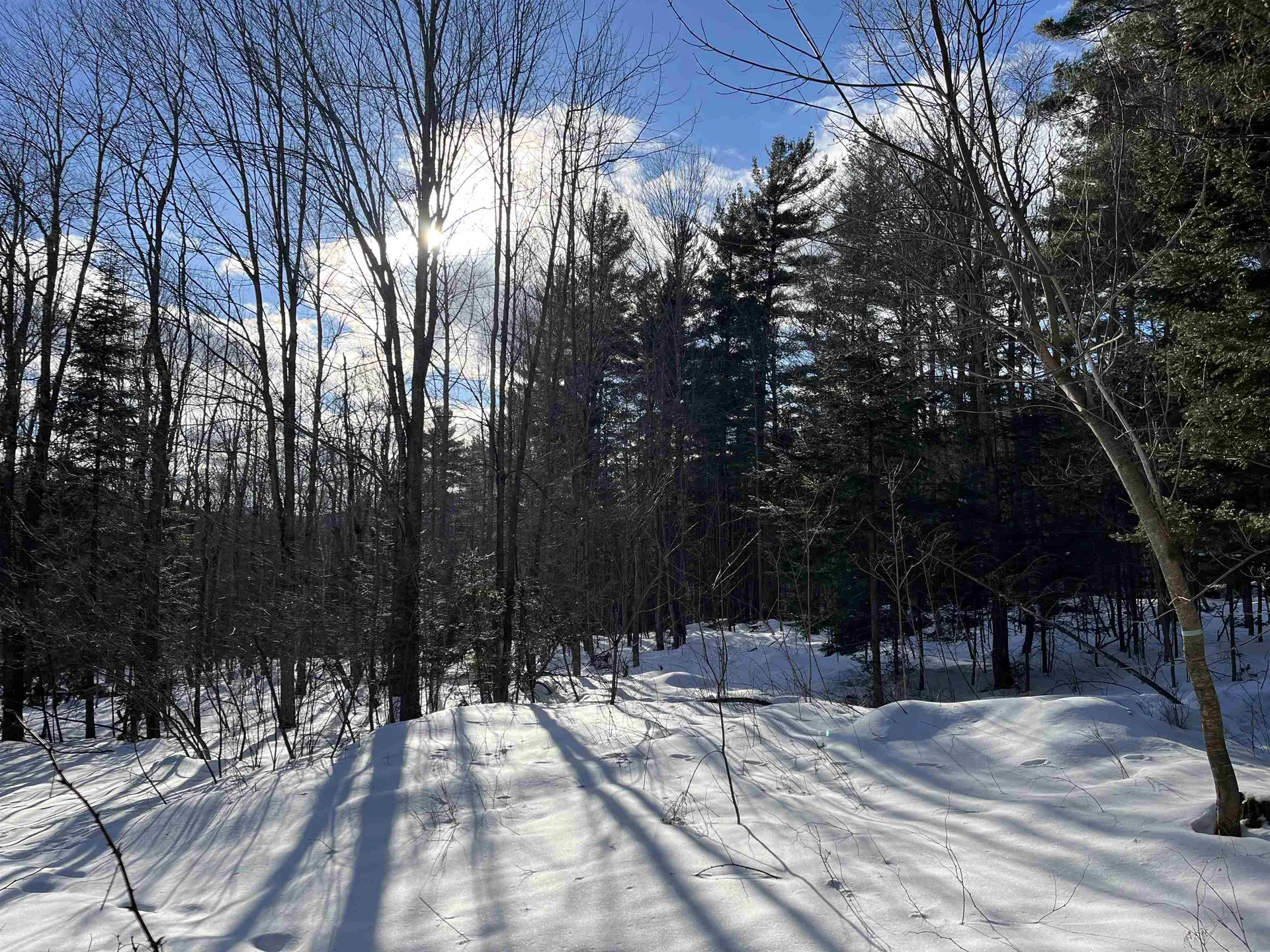 00 Cassidy Farm Road Warren VT 05674