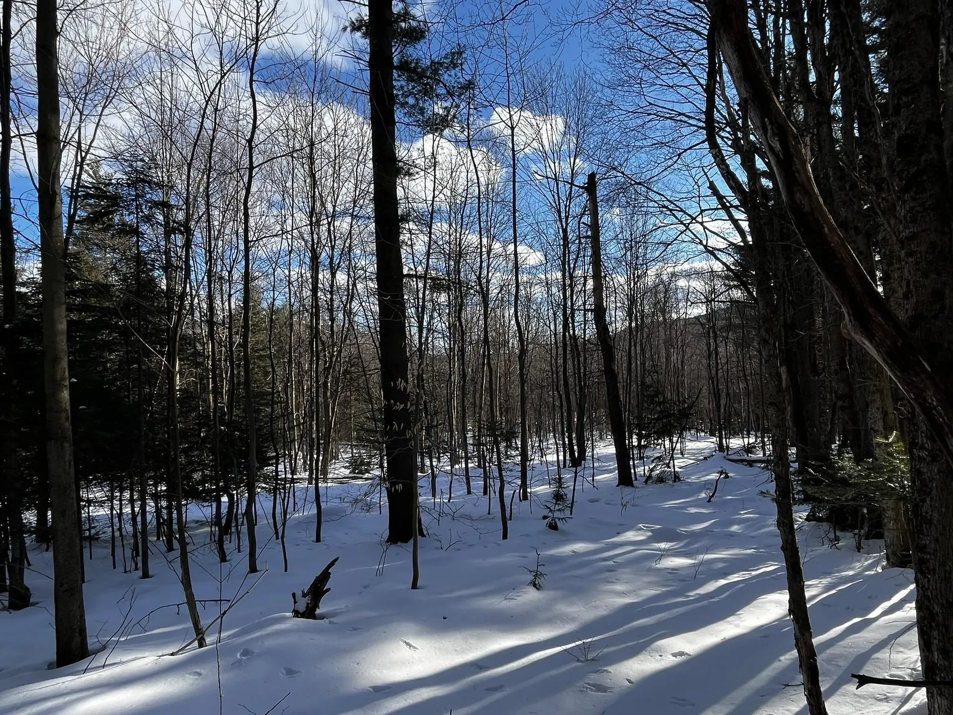 00 Cassidy Farm Road Warren VT 05674