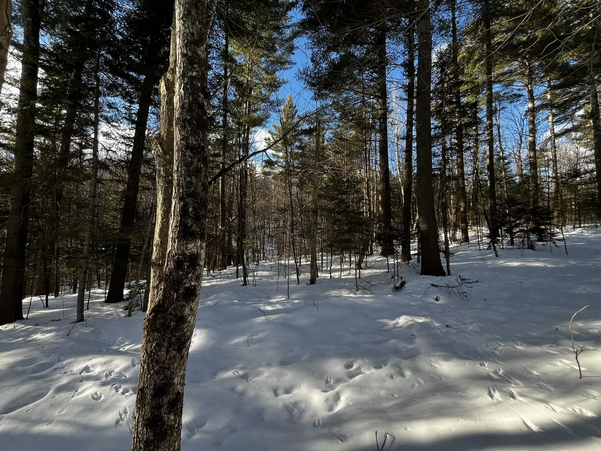00 Cassidy Farm Road Warren VT 05674