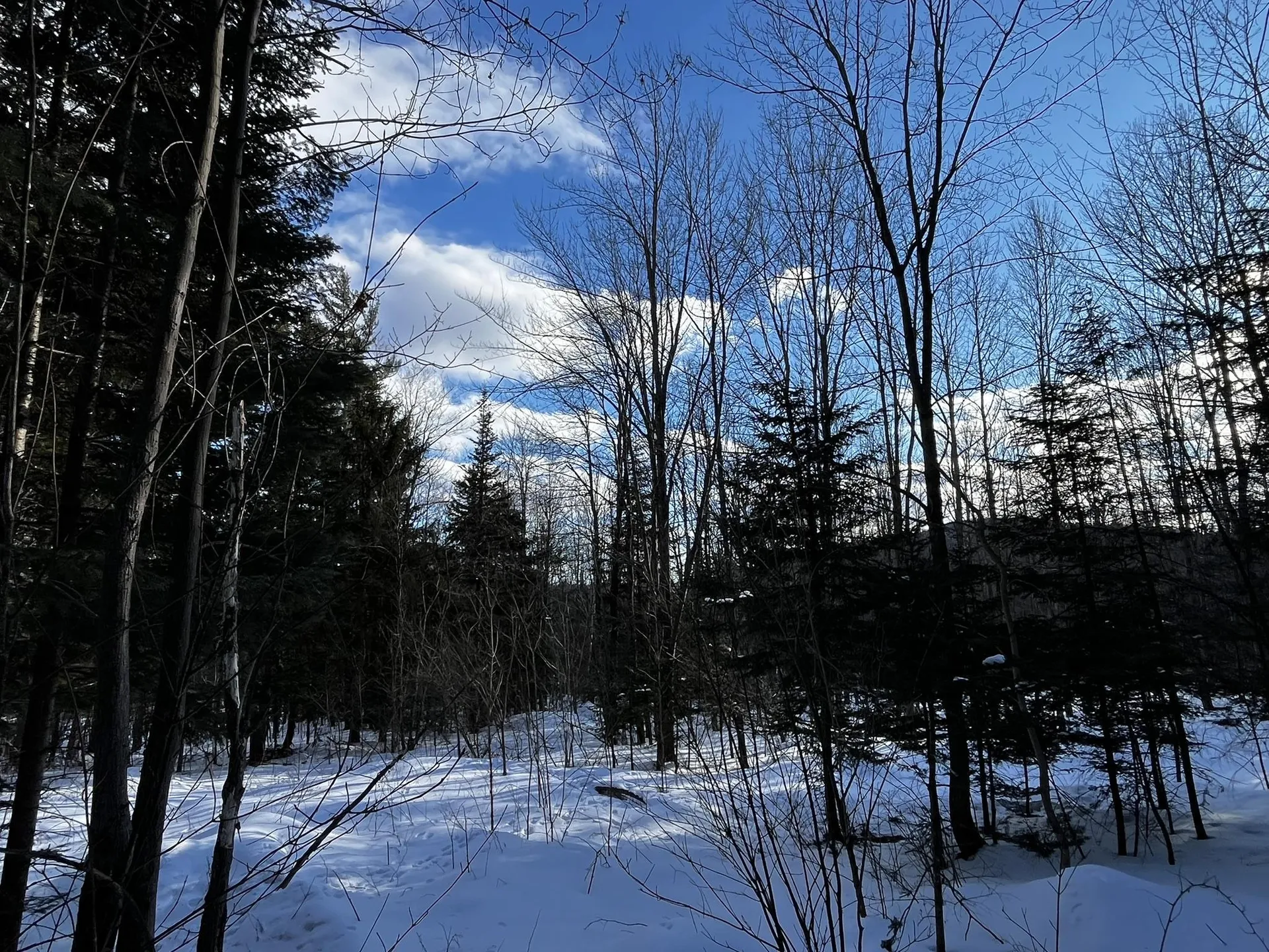 00 Cassidy Farm Road Warren VT 05674