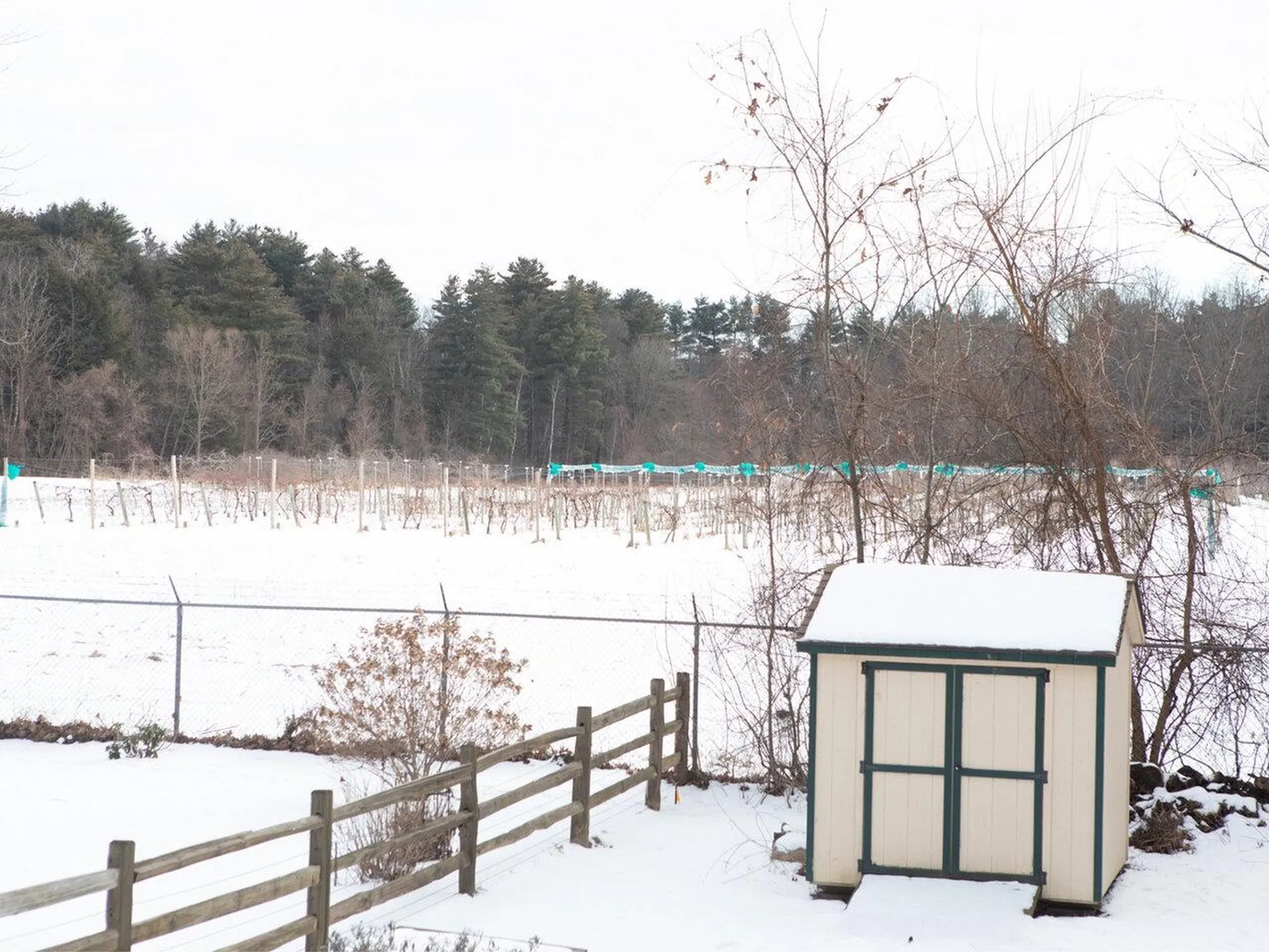 19 Sebring Road South Burlington VT 05403