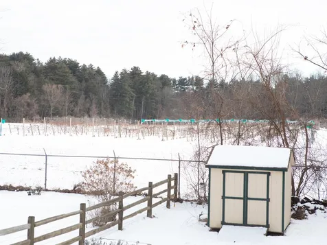 19 Sebring Road South Burlington VT 05403