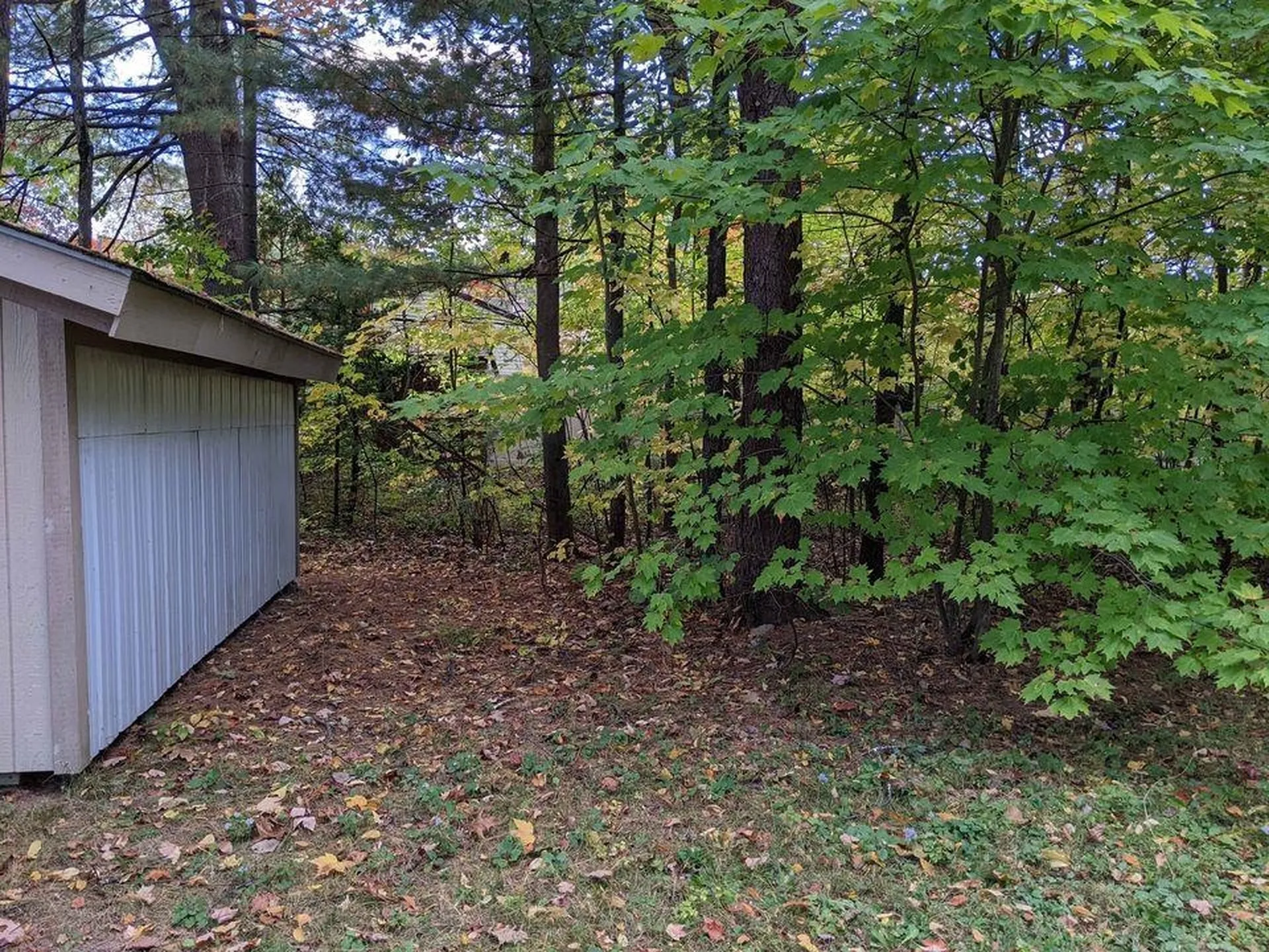6 Eldridge Street Concord NH 03301