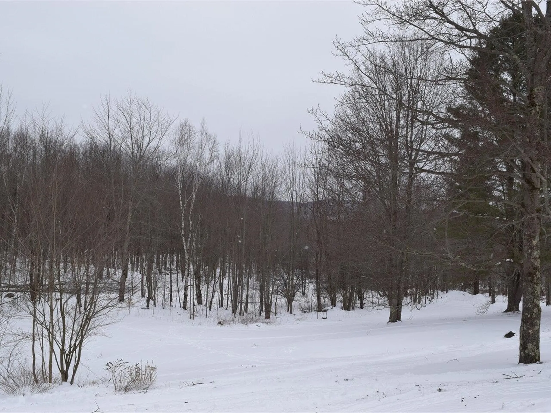 18 Raven Hill Road Underhill VT 05489