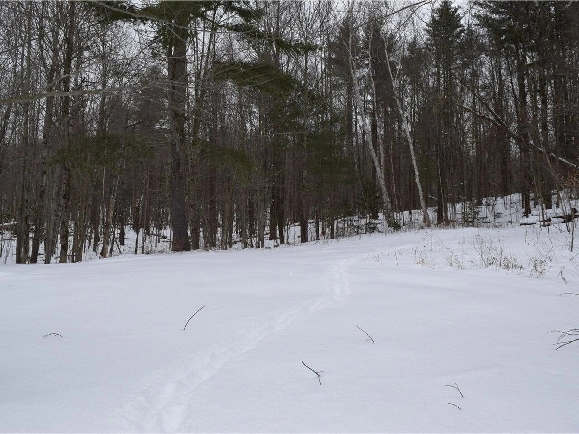 18 Raven Hill Road Underhill VT 05489