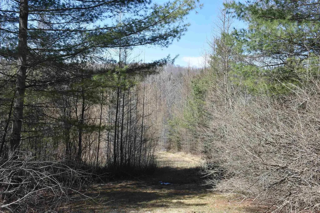 2792 Lower Road Plainfield VT 05667