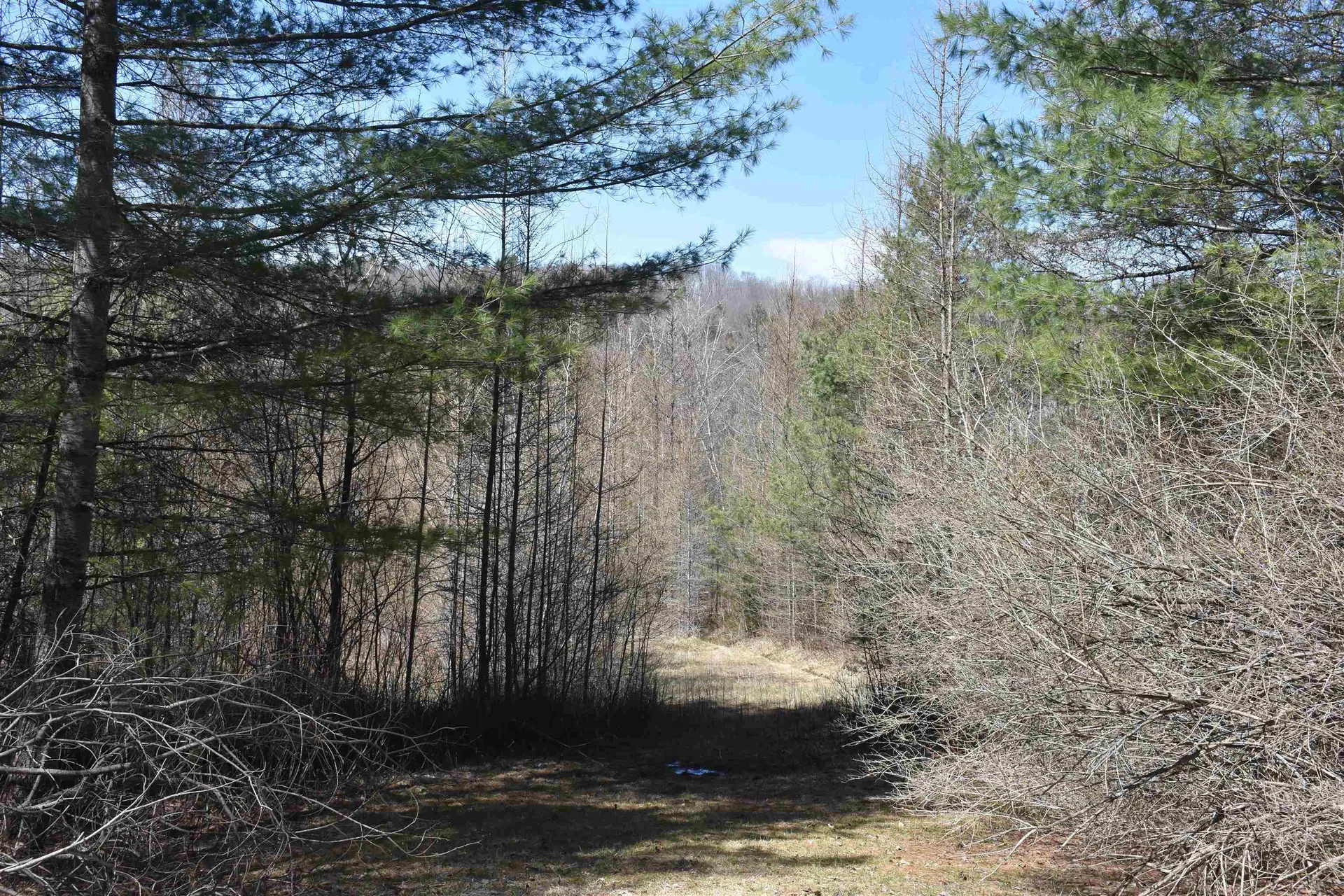 2792 Lower Road Plainfield VT 05667