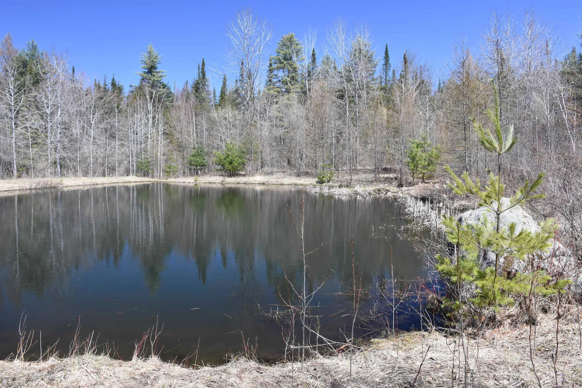 2792 Lower Road Plainfield VT 05667