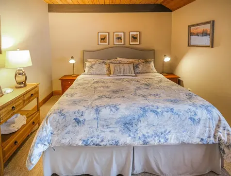 62 Okemo Trailside Extension Ludlow VT 05149