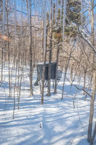 5 Johnson Hill Road Dover VT 05356