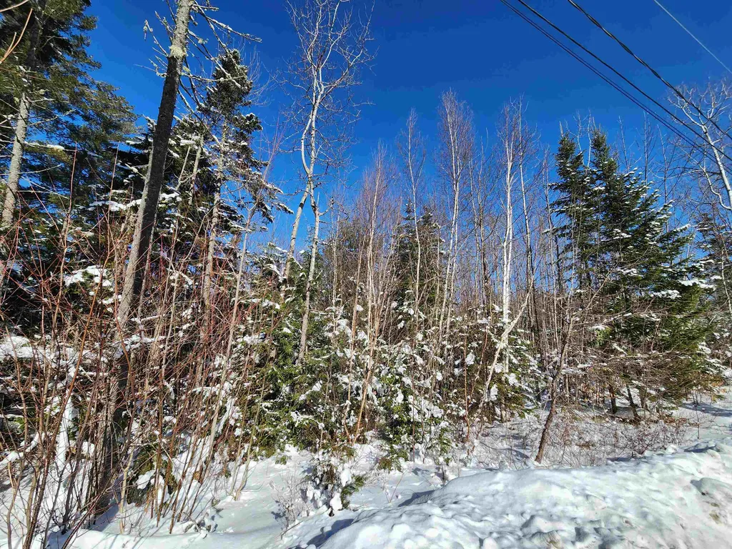 Lot 201 James Street Bethlehem NH 03574