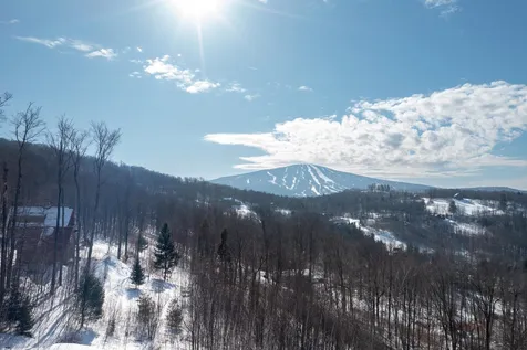 71 Todd Hill Road Winhall VT 05340