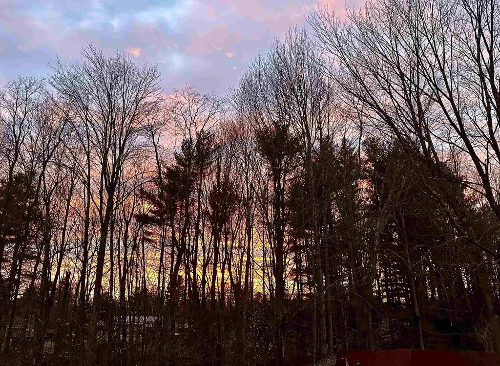 33 Pinewood Lane Milton VT 05468
