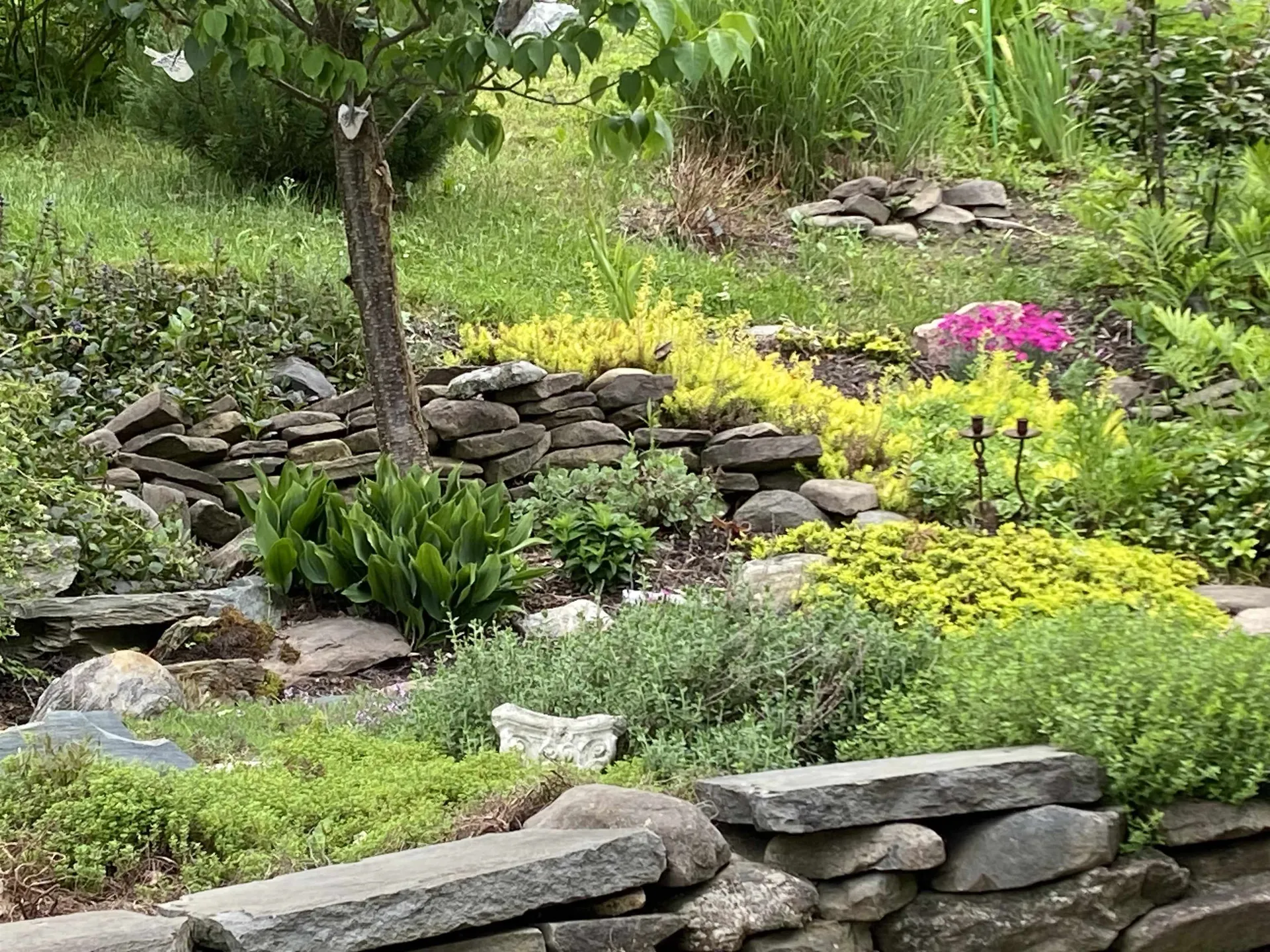 90 Tyler Ridge Road Waterbury VT 05676