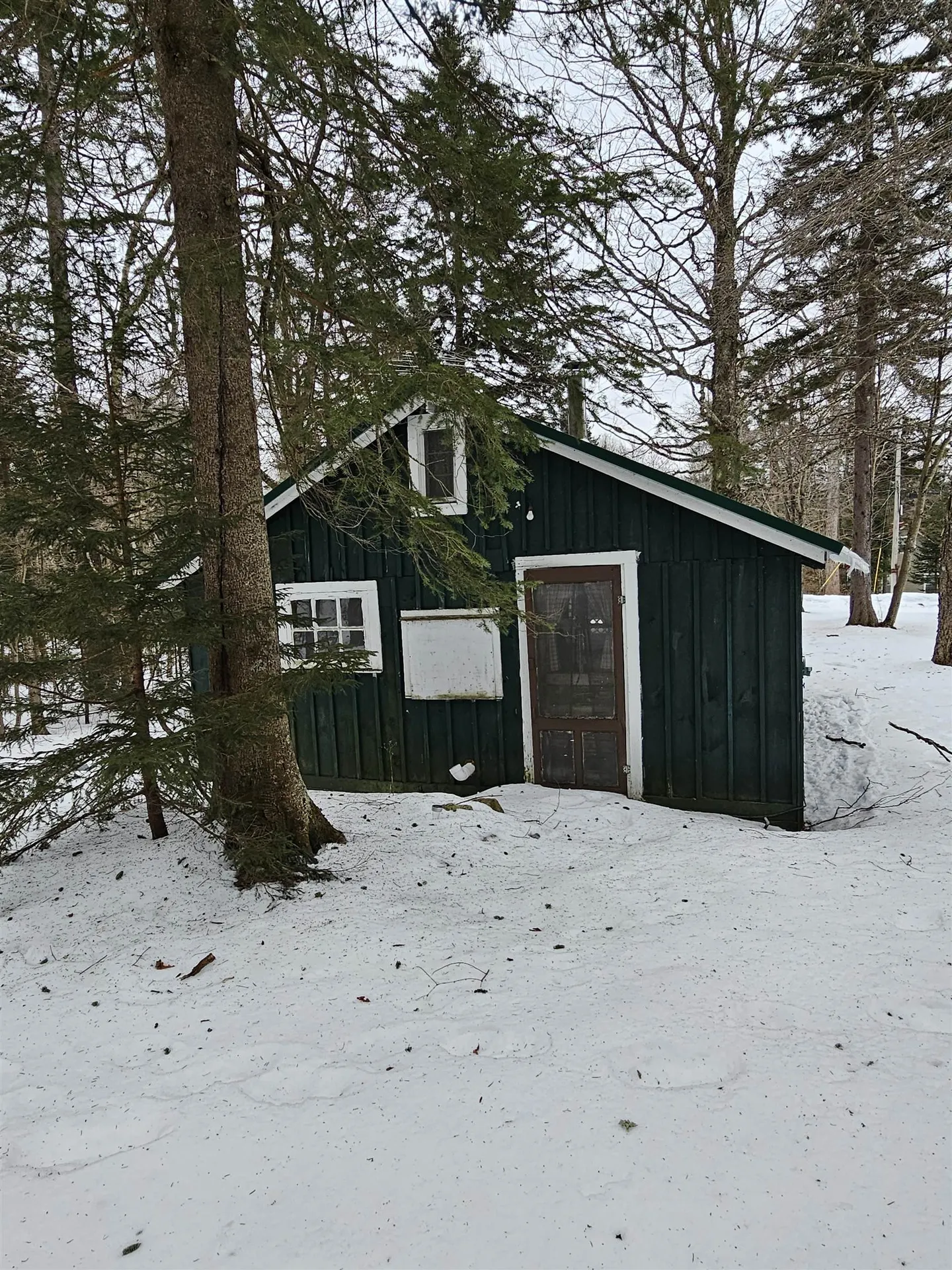 367 Hickory Road Woodford VT 05201