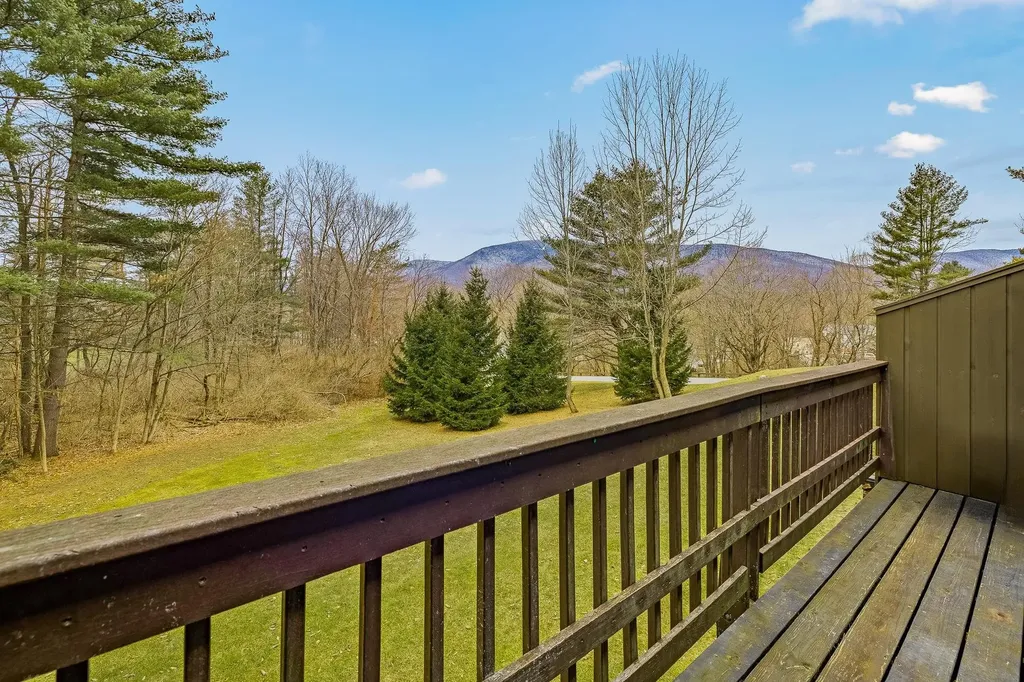 4 Murray Hill South Road Manchester VT 05255