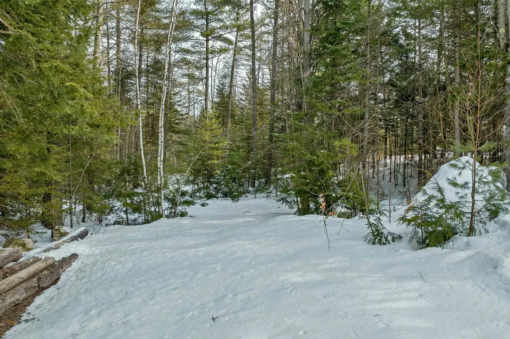 29 Mitten Lane Conway NH 03818