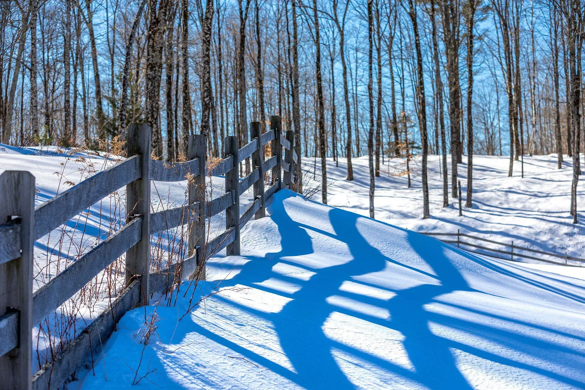 311 Densmore Hill Road Hartland VT 05048