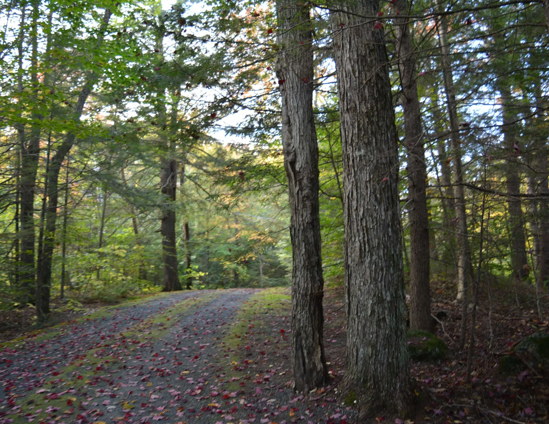 49 Bright Slope Way Grantham NH 03753