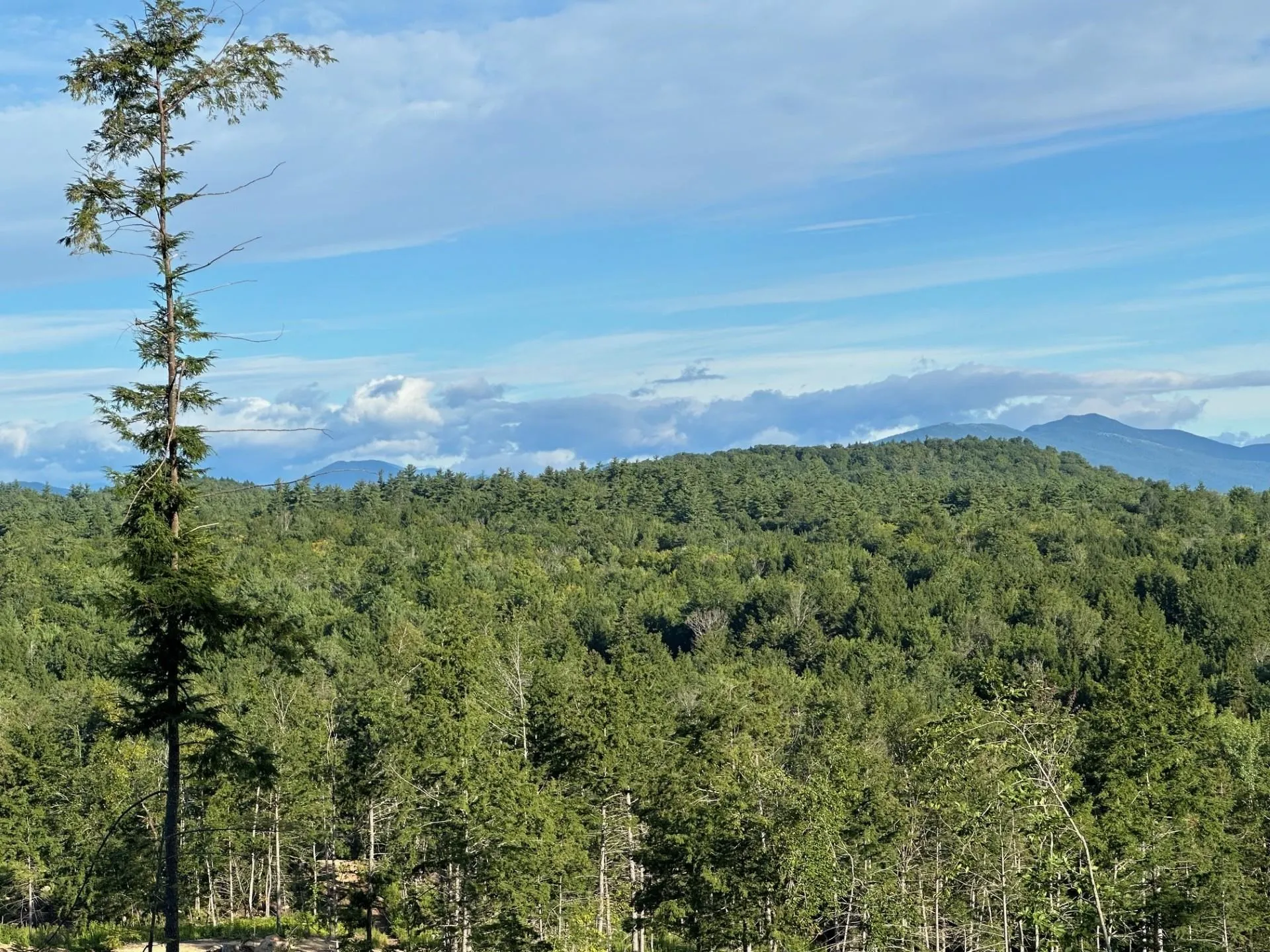 00 Brownfield Road Eaton NH 03832