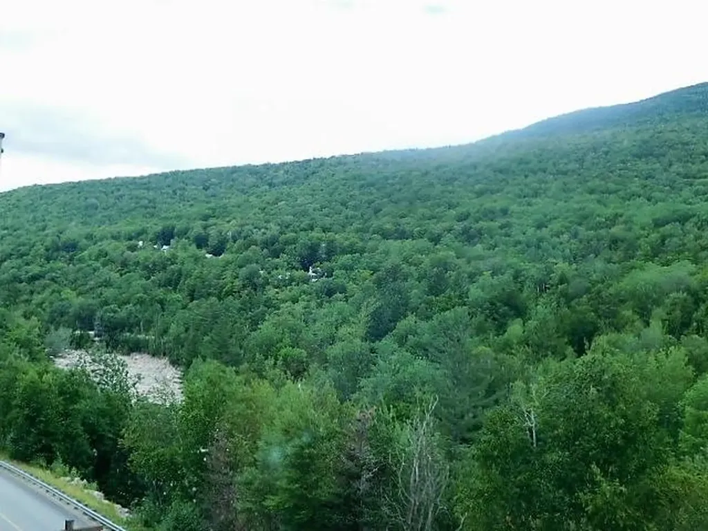90 Loon Mountain Road Lincoln NH 03251
