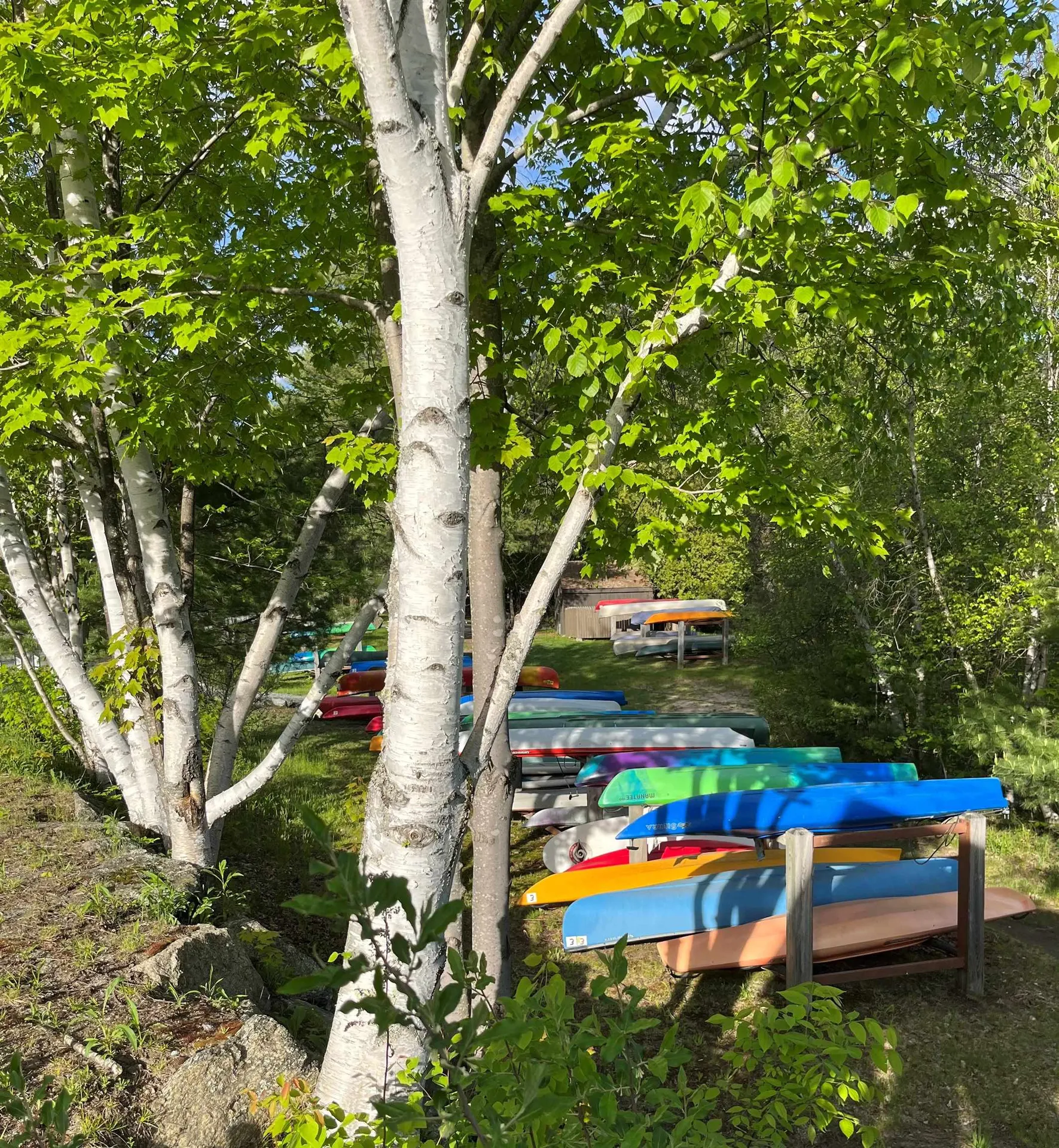 23 Wedgewood Drive Grantham NH 03753