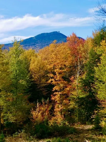 373 Wilderness Road Jay VT 05859
