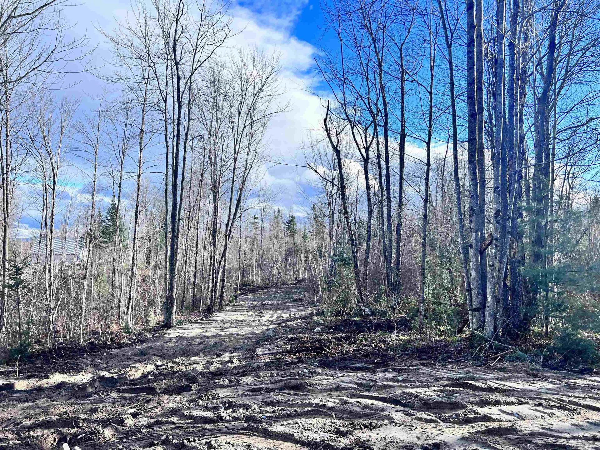 Lot 3 Steiss Road Milan NH 03588