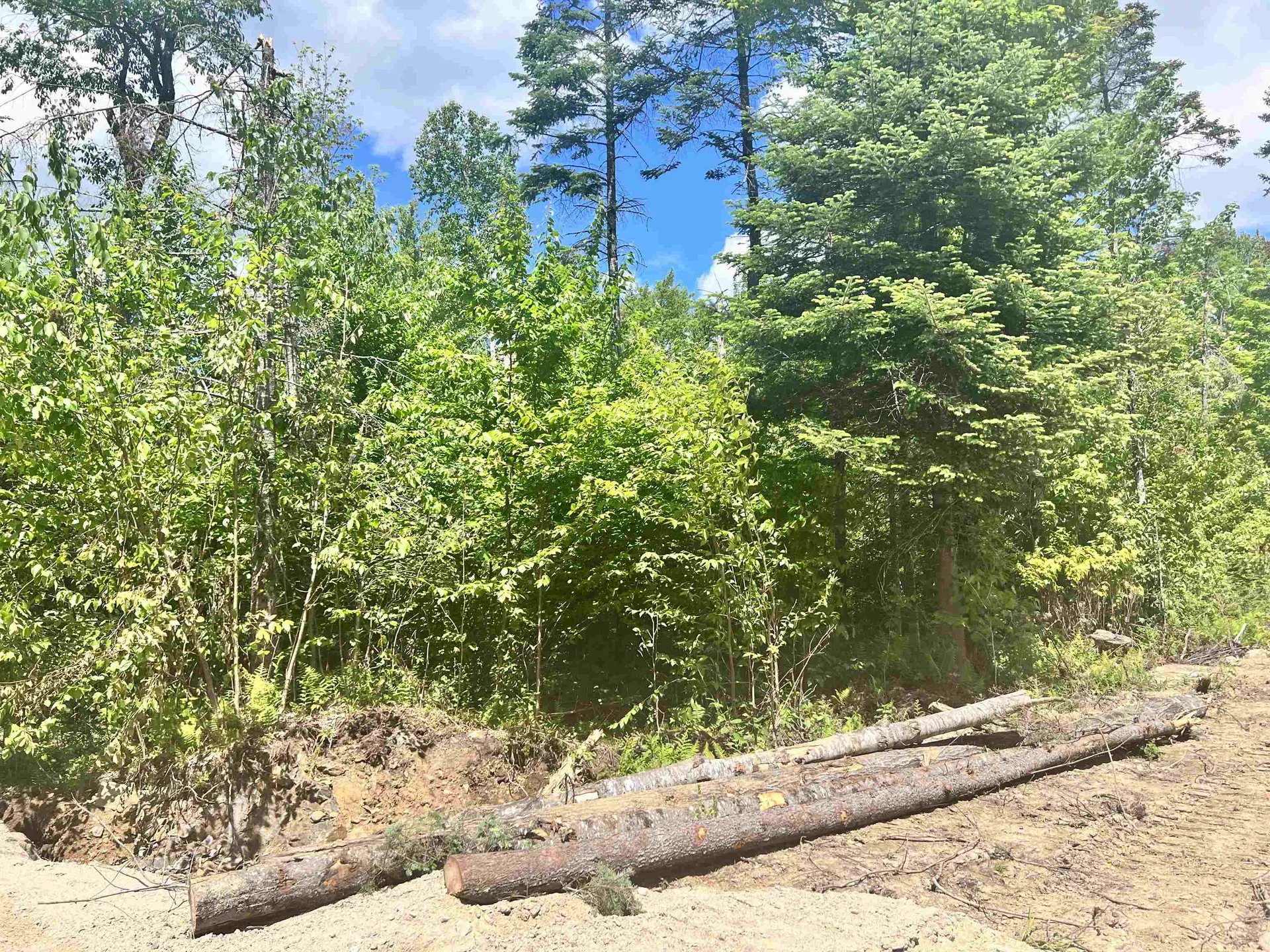 Lot 3 Steiss Road Milan NH 03588