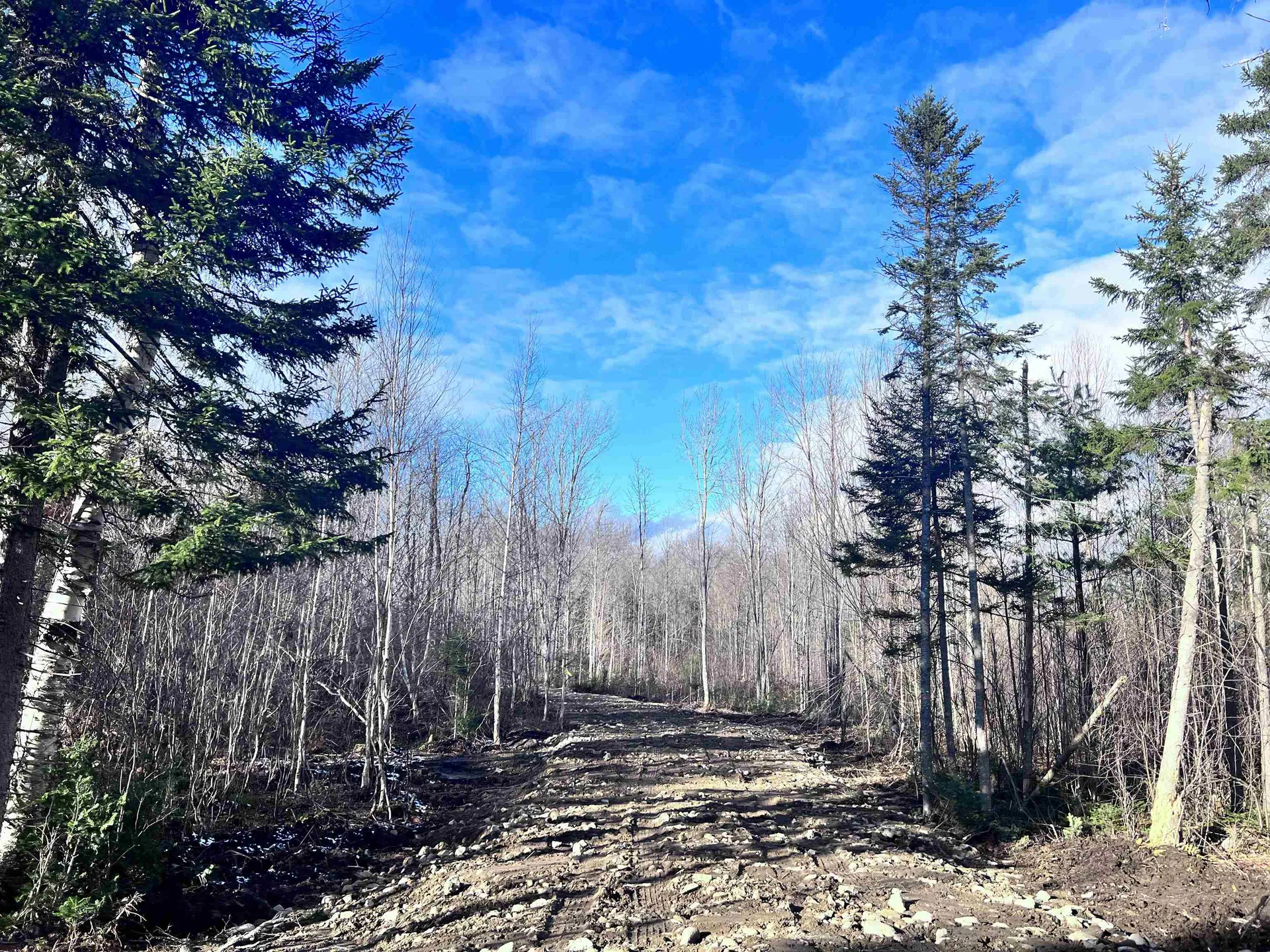 Lot 3 Steiss Road Milan NH 03588