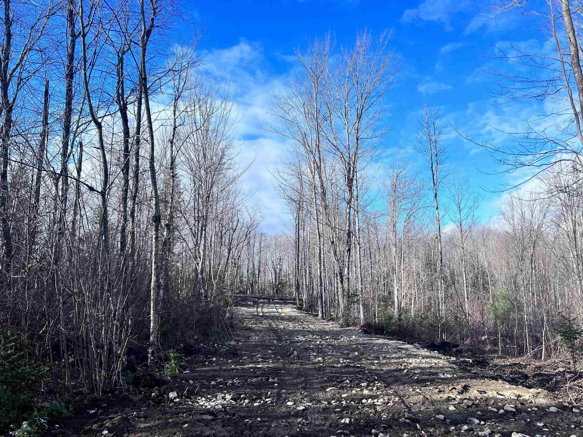 Lot 3 Steiss Road Milan NH 03588