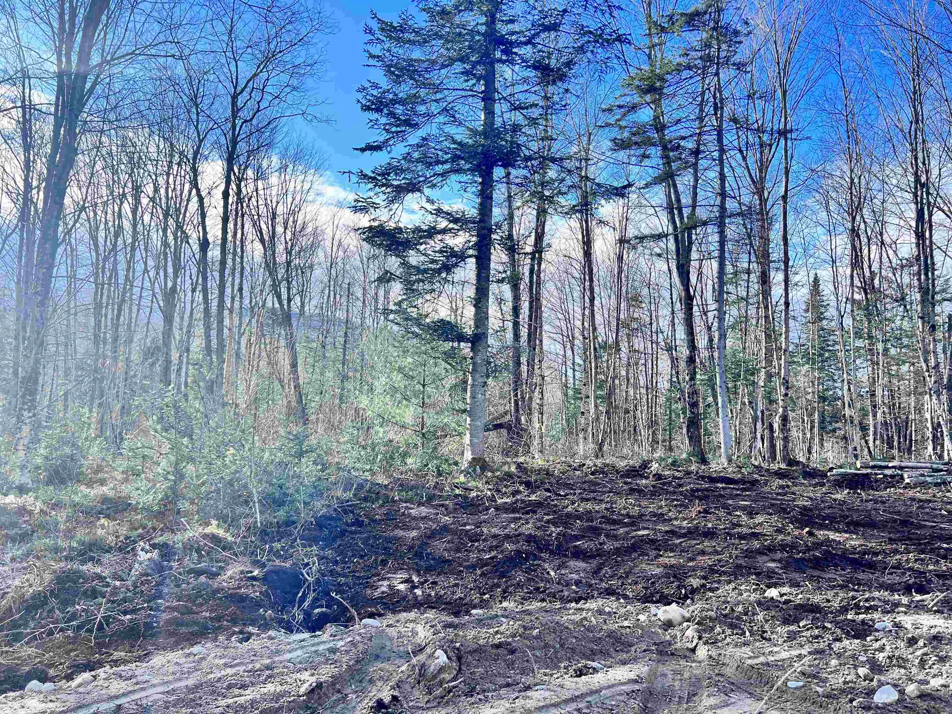 Lot 3 Steiss Road Milan NH 03588