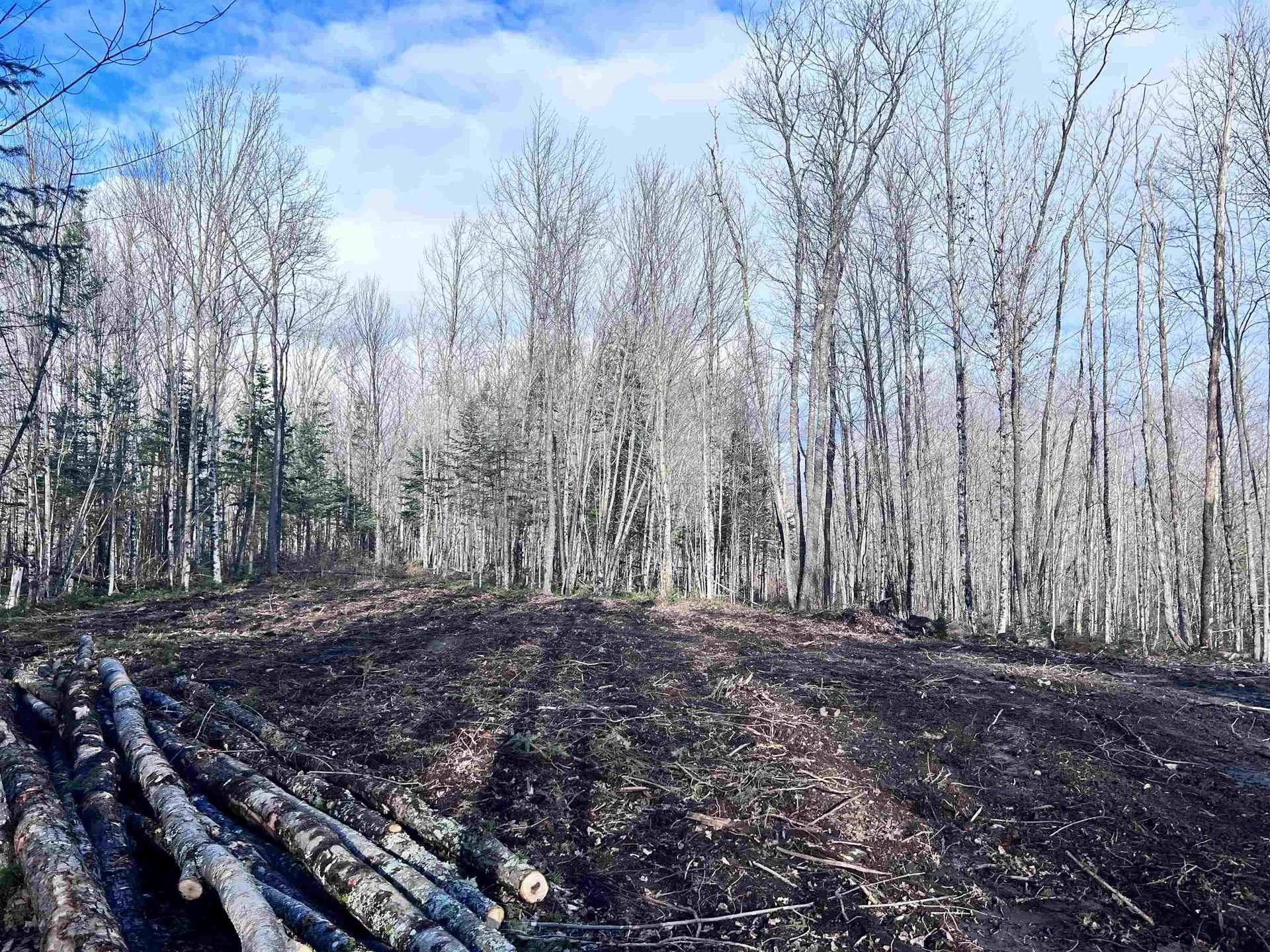 Lot 3 Steiss Road Milan NH 03588