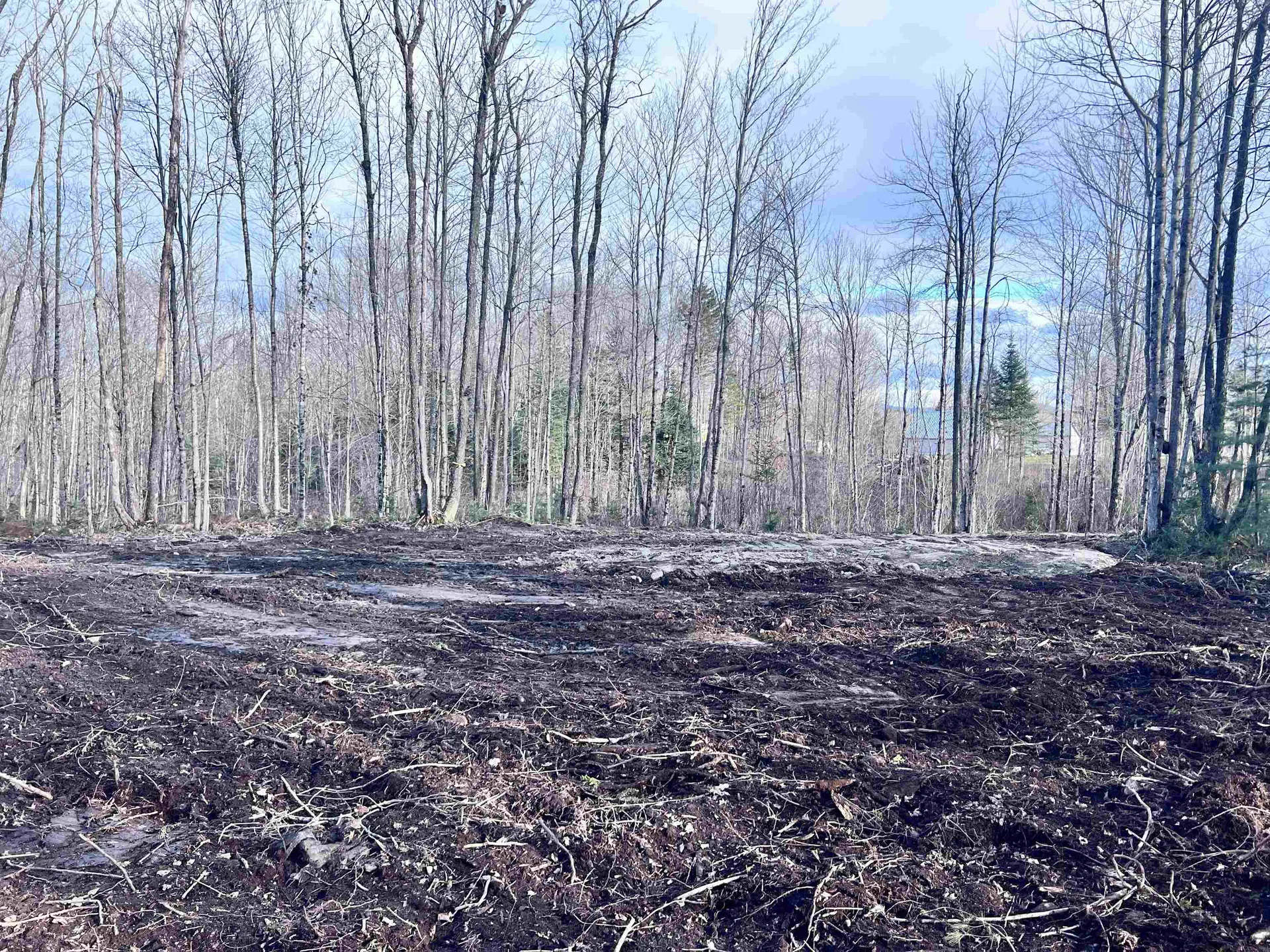 Lot 3 Steiss Road Milan NH 03588