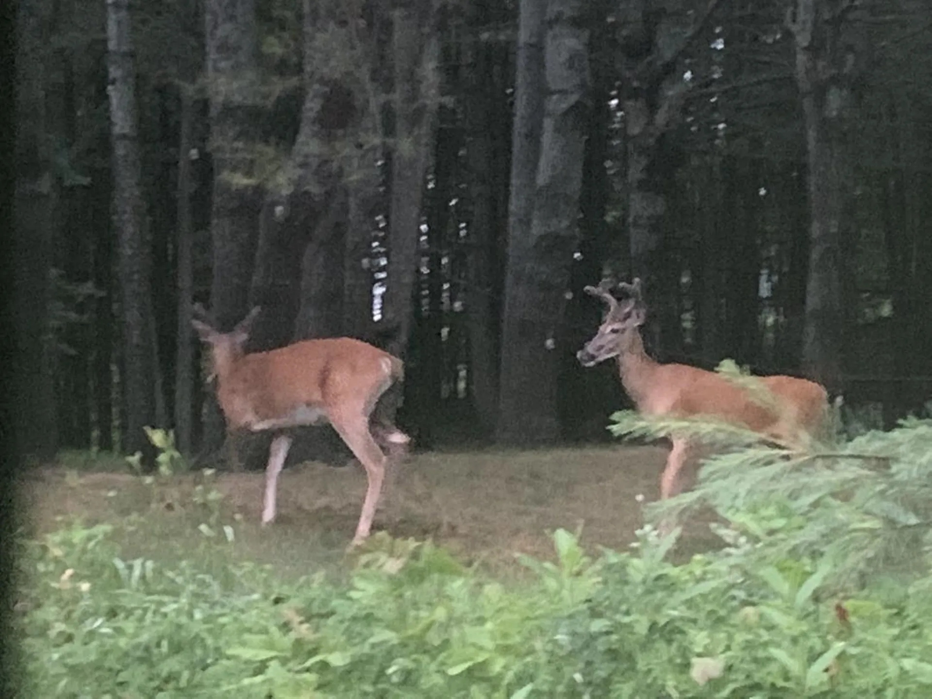 94 Sugarwoods Road Barre Town VT 05641