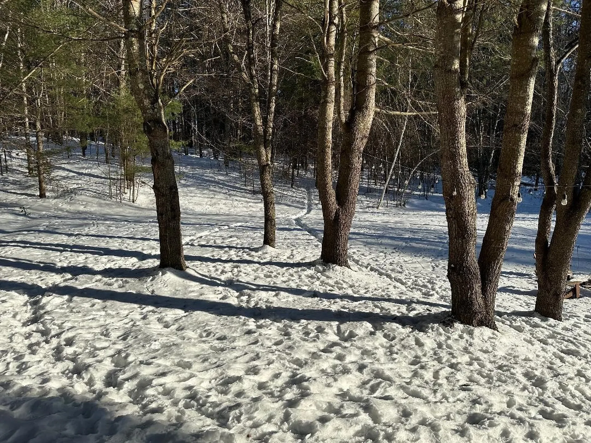 94 Sugarwoods Road Barre Town VT 05641
