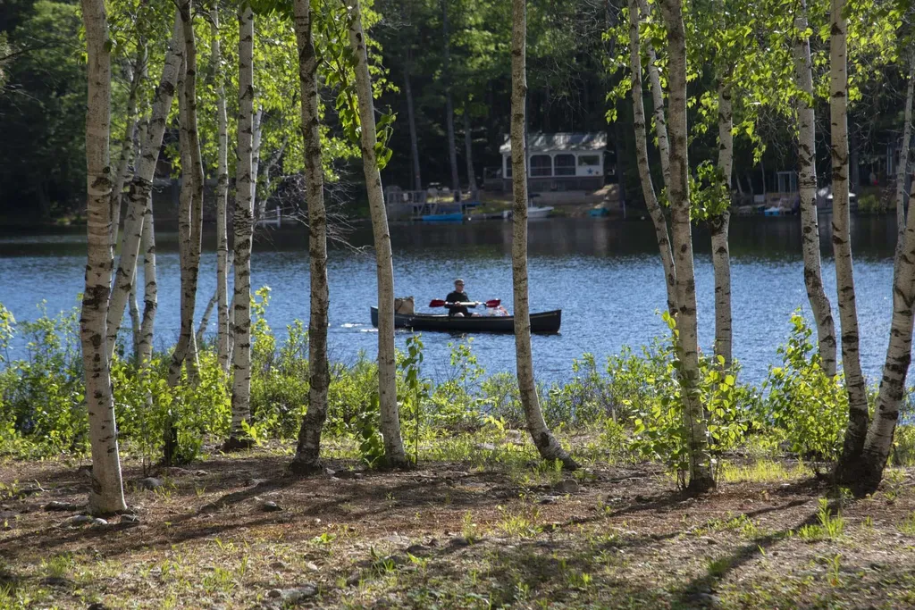 71 Vachon Drive Wakefield NH 03830