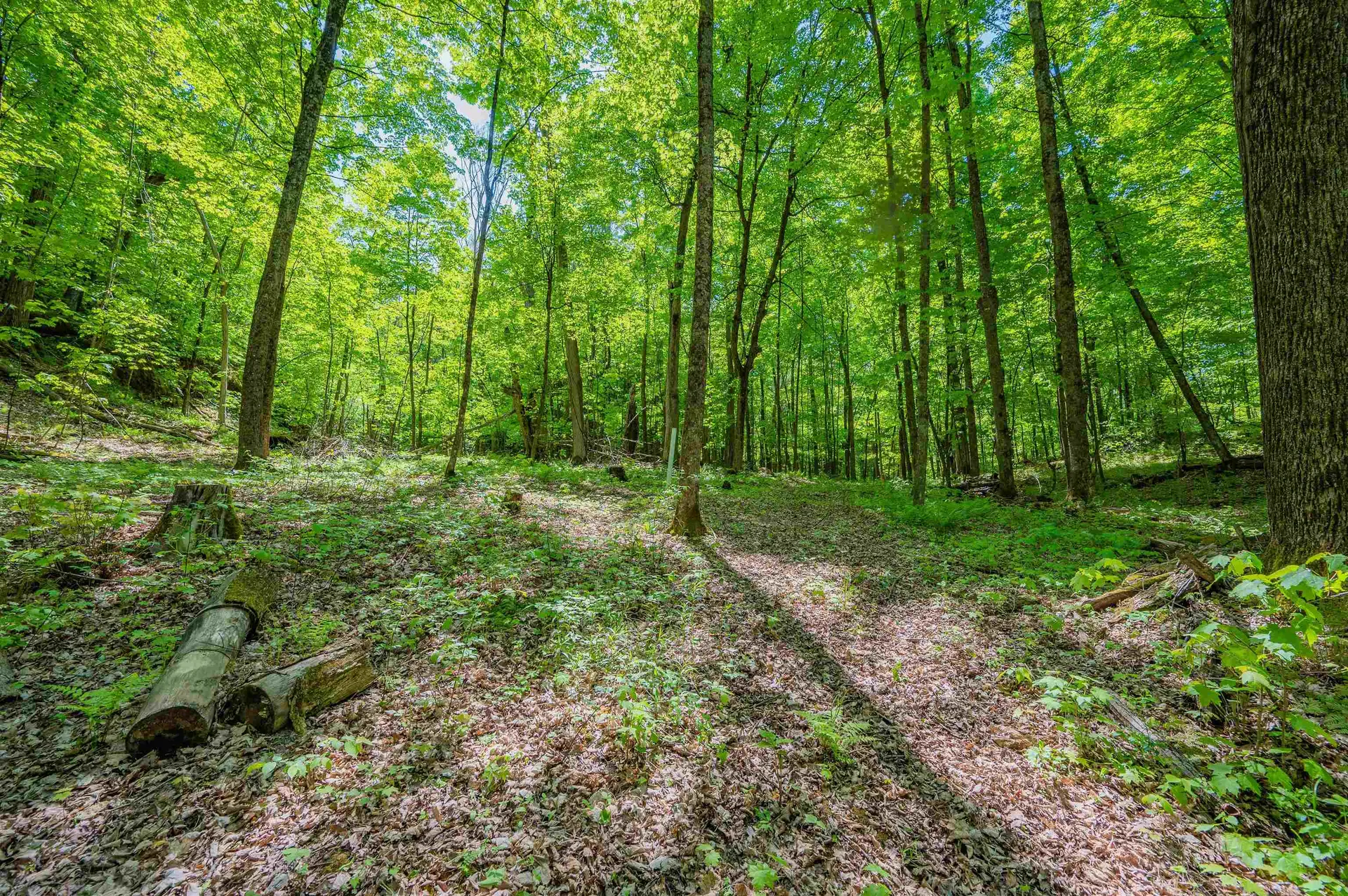 1333 Bullock Road Milton VT 05468